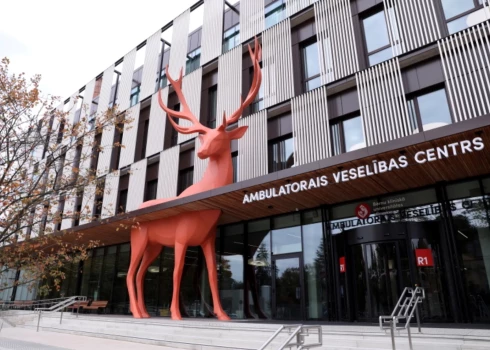 Bērnu slimnīcā ārstējas 19 bērni ar zarnu nūjiņas infekciju, situācija joprojām mainīga Bērnu slimnīcā ārstējas 19 bērni ar zarnu nūjiņas infekciju, situācija joprojām mainīga