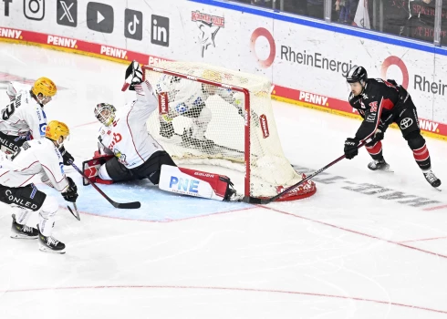 Kristers Gudļevskis ar Vācijas vicečempioni “Fischtown Pinguins” nonāk zaudējuma attālumā no sezonas beigām Kristers Gudļevskis ar Vācijas vicečempioni “Fischtown Pinguins” nonāk zaudējuma attālumā no sezonas beigām