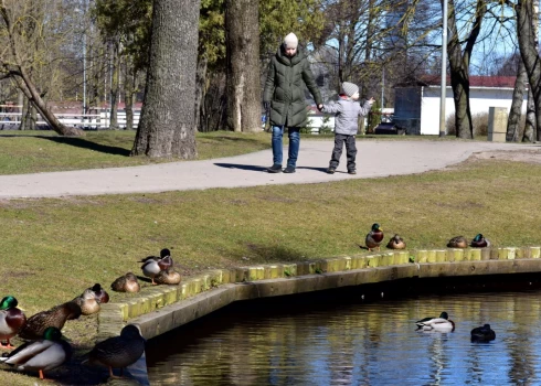 Nedēļas nogale gaidāma saulaina Nedēļas nogale gaidāma saulaina