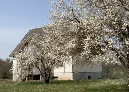 VIDEO: pamests ciems Latvijā turpina piesaistīt ziņkārīgos VIDEO: pamests ciems Latvijā turpina piesaistīt ziņkārīgos